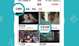 免费直播看片app,揭秘免费直播看片APP的魅力所在